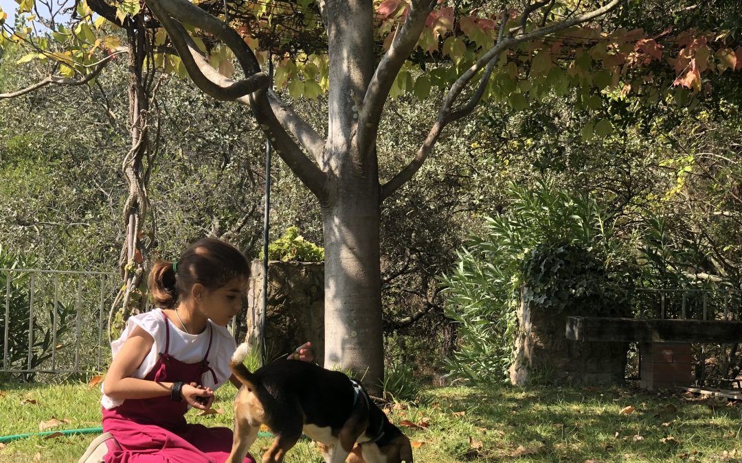 Otoño sin agua y con precios al alza